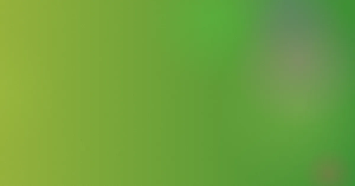 巨乳女教师在线观看避坑指南